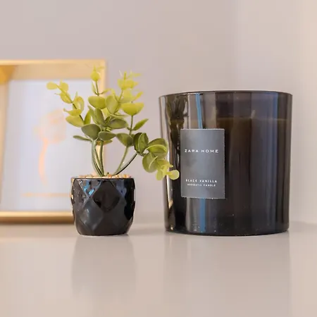 Urban Jungle - Premium By Blvd 44b1